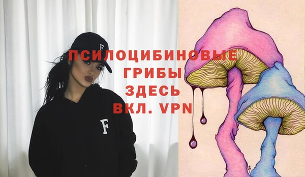 ПСИЛОЦИБИНОВЫЕ ГРИБЫ Абинск
